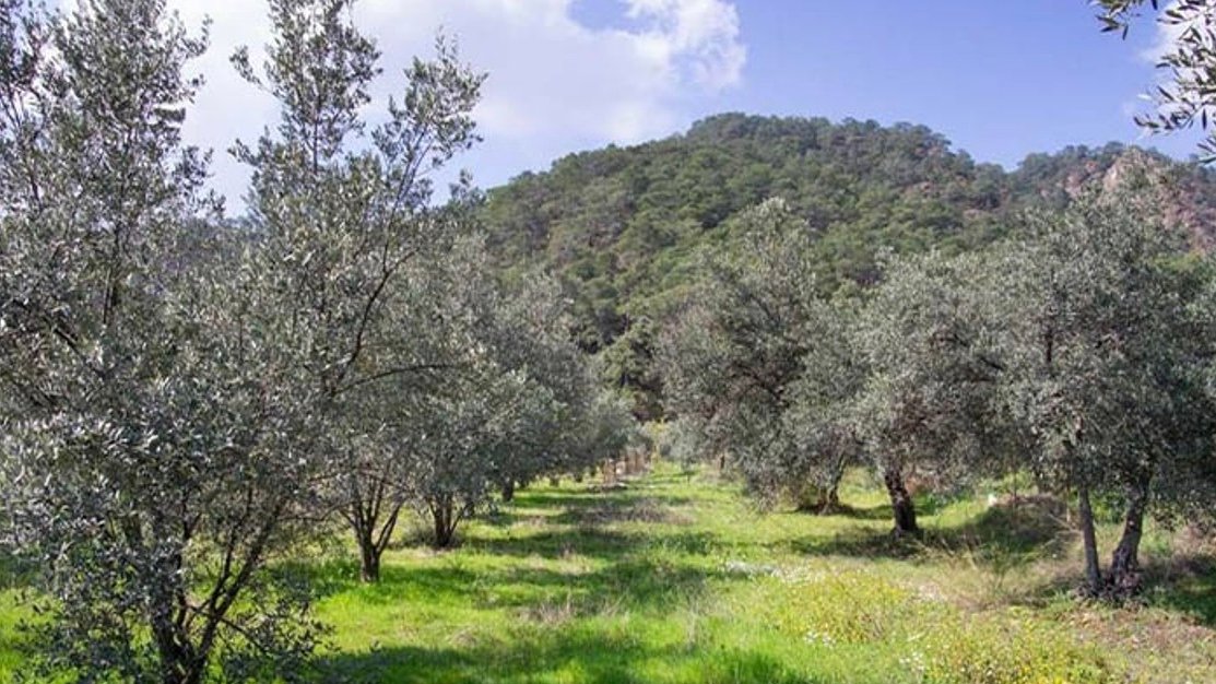 7CA1A890-0D11-48A5-829E-0255FF9B893C