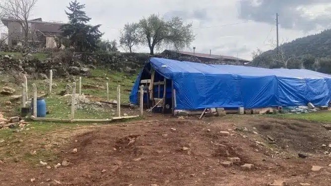 81DE6911-E819-4FBA-AF30-24244053F05F