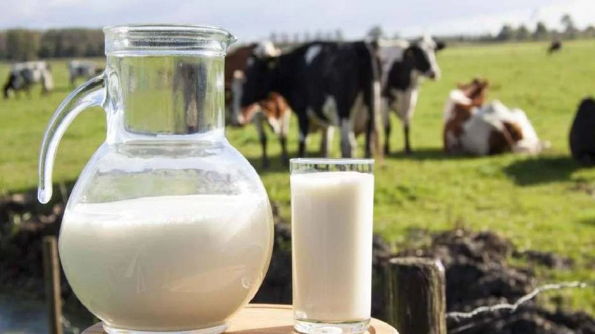 F5BD3628-9F3D-45E8-98F3-E24ECDBA0D01