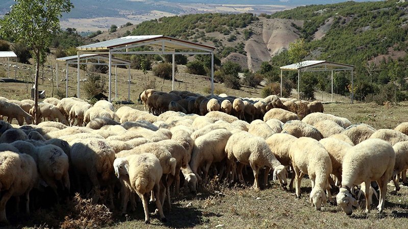 D9FE01BC-6D28-441D-8AD6-24CABCA42BD4