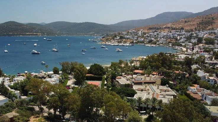 379016B3-8118-4F3C-A59A-193343AB0636