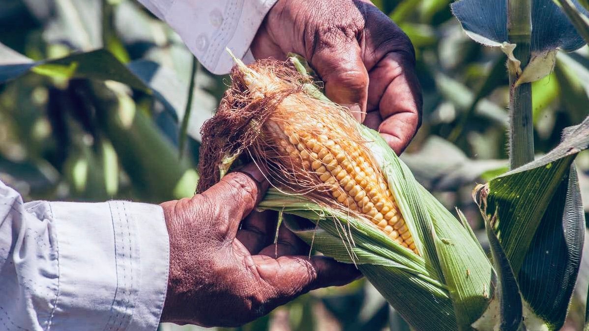 93723B32-D2E4-4D94-A697-0F7F72D0D144