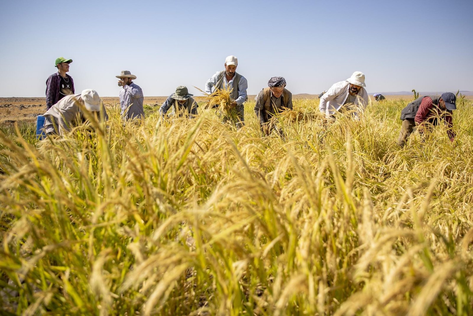 17580048-C45E-4B69-B2BB-C2DB51523972