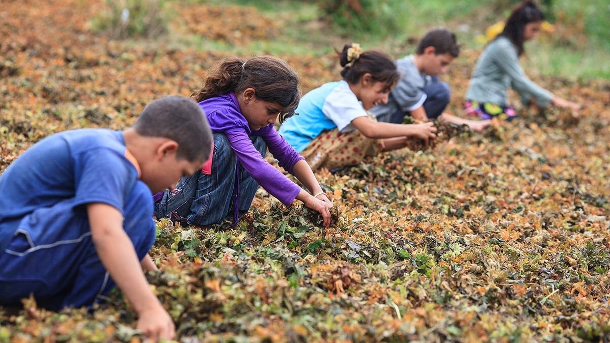 899FC9D0-DB95-45E0-8054-3184350ED6F8