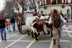 Spanish farmers protest in Madrid