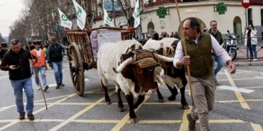 Spanish farmers protest in Madrid