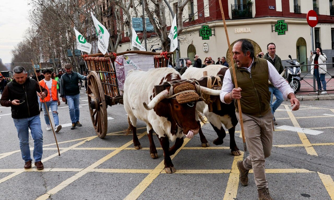 Spanish farmers protest in Madrid