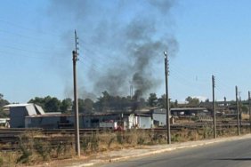 20241024-111-jpeg0068bc-image