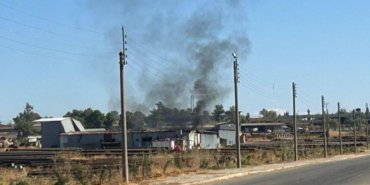 20241024-111-jpeg0068bc-image