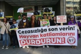 690x390cc-ank-09-11-2024-hayvan-haklari-basin-aciklamasi1