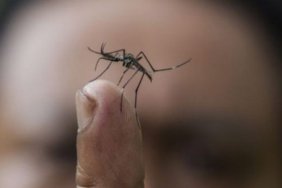 690x390cc-mrk-17-11-2024-bagledes-dang-humasi