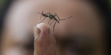 690x390cc-mrk-17-11-2024-bagledes-dang-humasi