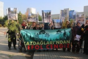 kazdaglari-icin-danistay-onunde-eylem