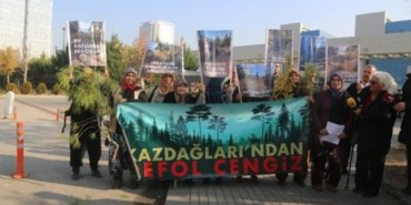 kazdaglari-icin-danistay-onunde-eylem