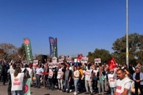 photo_2024-11-01_12-28-47-1140x570