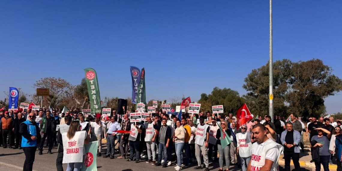 photo_2024-11-01_12-28-47-1140x570