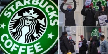 abdde-starbucks-grevi