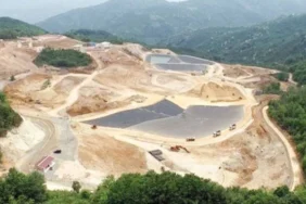 110-bin-hektar-orman-talan-edildi