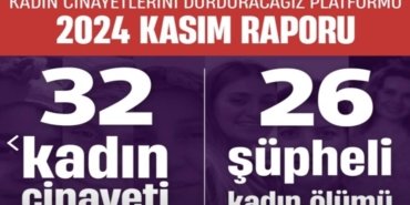 2024-kadin-cinayetleri-raporu