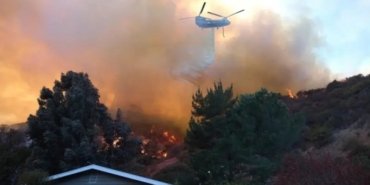 690x390cc-mrk-14-01-2024-los-angeles-yangin