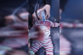 CREATOR: gd-jpeg v1.0 (using IJG JPEG v62), quality = 85