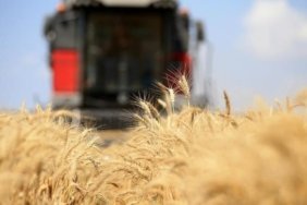 gida-fiyatlari-artti