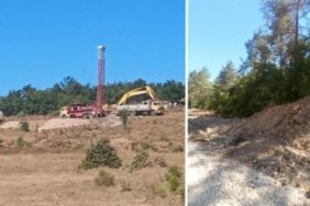 kazdaglarinda-agac-katliami-devam-ediyor