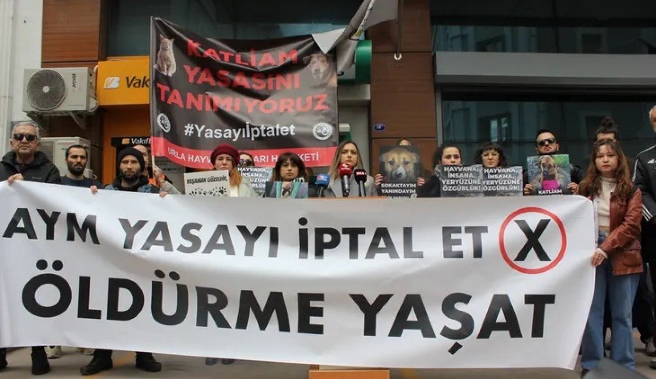 izmir-barosu-erzincan-belediyesi-kopek-katliami-aciklamasi