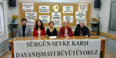 IMG_20250319_121910-1-1024x768