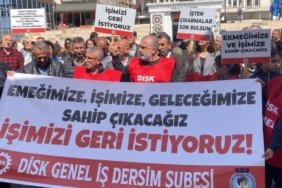 photo_2025-03-26_10-43-39-1140x570