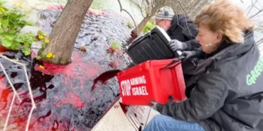 do-thuoc-1744362288731915446686