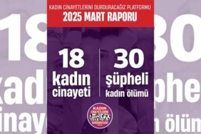 kcdp-2025-mart-raporunu-acikladi