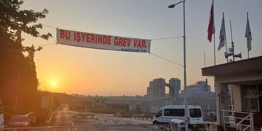 CREATOR: gd-jpeg v1.0 (using IJG JPEG v80), quality = 100