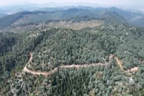 452564702-904718598356854-5053672883485877792-n