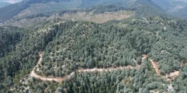 452564702-904718598356854-5053672883485877792-n