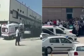 d11bd2dc-07a7-42e0-9cb6-c1a255ee61dd