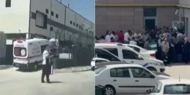 d11bd2dc-07a7-42e0-9cb6-c1a255ee61dd