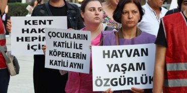 1290x690cc-hayvan-severizm-1234