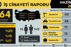 isig_meclisihaziran-infografik