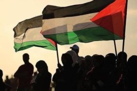 67bb7d217c2b81682236e851