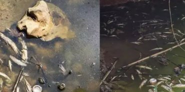 etha-20250802-antalya-balik-olumu