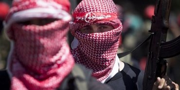 53341132819_0d599d87c3_b