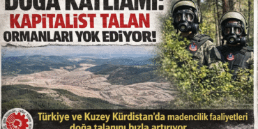 D3B47D33-B3FA-4852-BF9C-F943CCAA1E8A