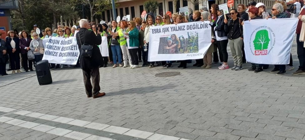 a3341279-4ea2-4acf-8646-0811aa78d6e1