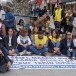 bc983b34-53d4-4743-b469-1227982f537c