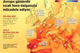hava sicakliklari
