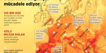 hava sicakliklari