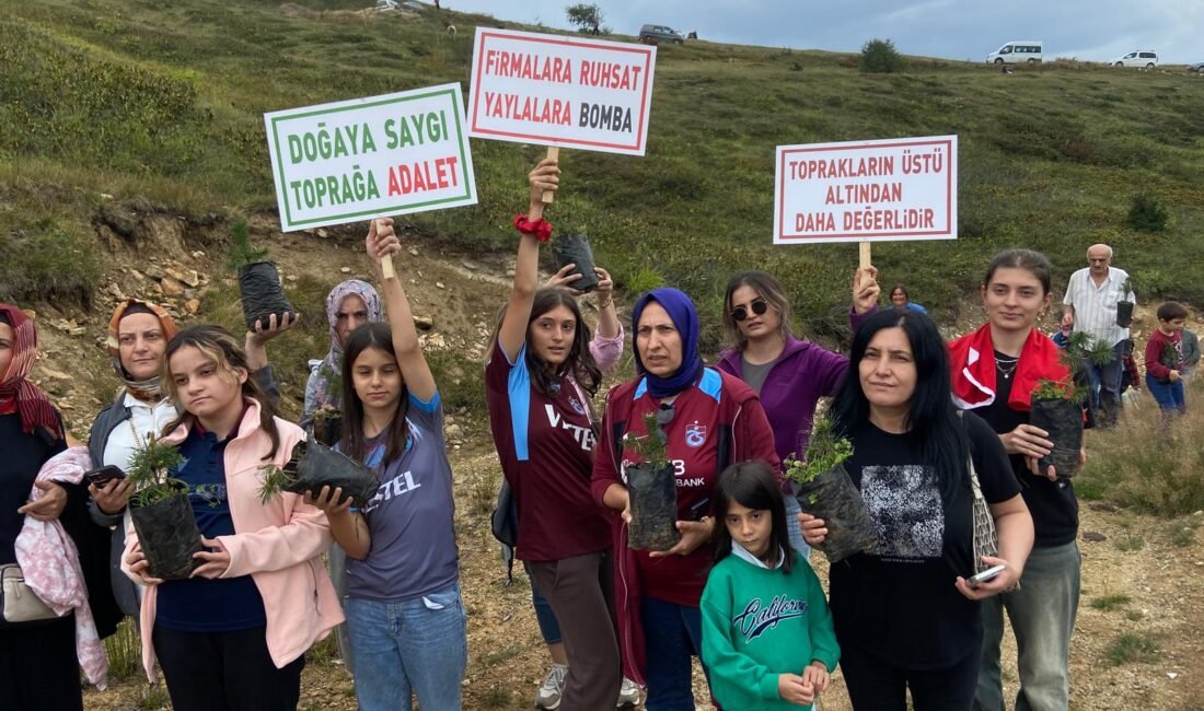 ARAKLI-YAYLA5-